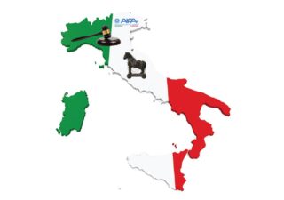 Italy map, flag and AIFA